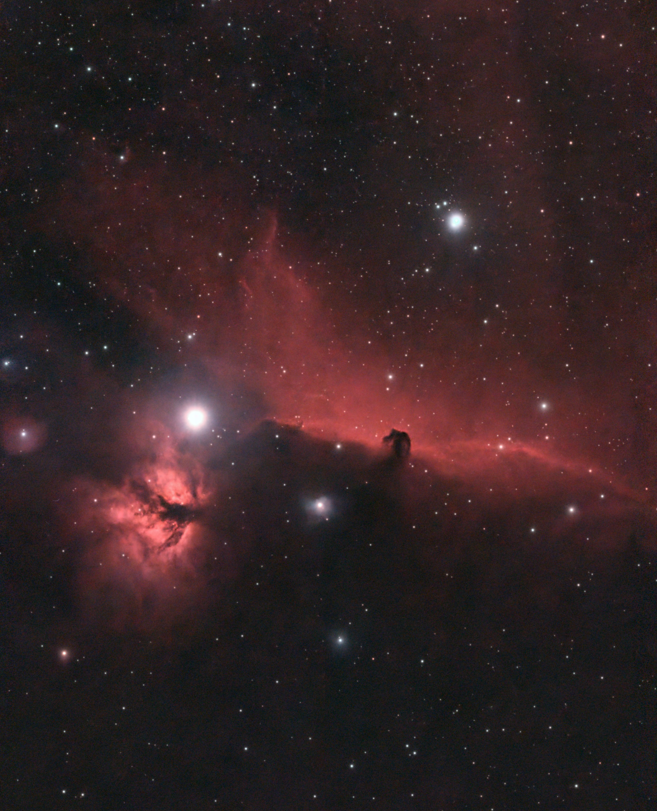 Horsehead and Flame Nebula