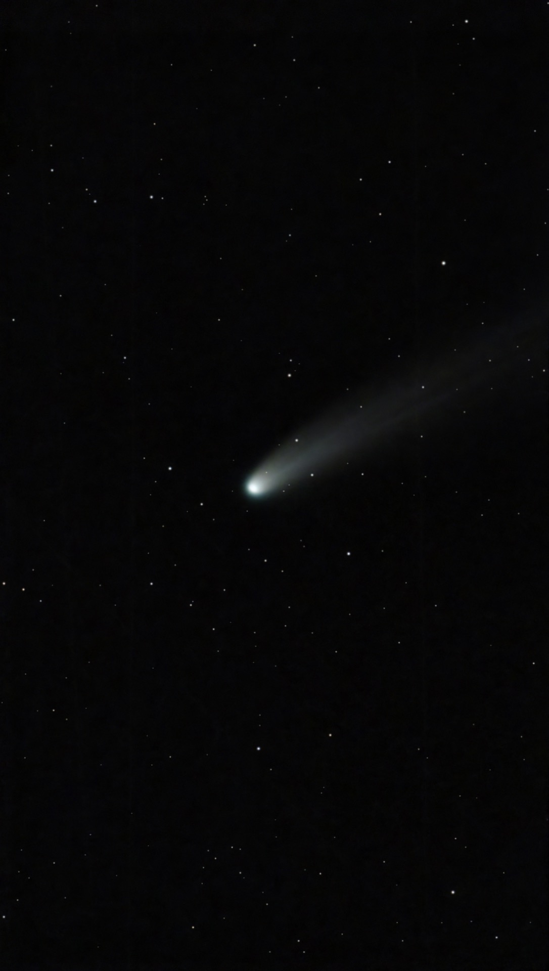 Comet C/2025 A6